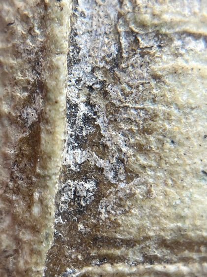 พระสมเด็จเกศชโย 7 ชั้น เนื้อหาเก่าเป็นธรรมชาติ(059) รูปที่ 6