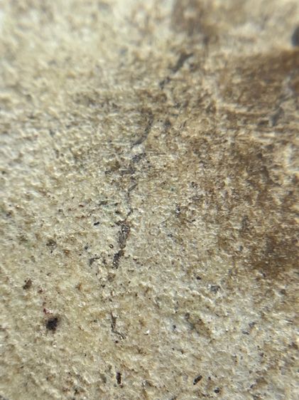 พระสมเด็จเกศชโย 7 ชั้น เนื้อหาเก่าเป็นธรรมชาติ(059) รูปที่ 15