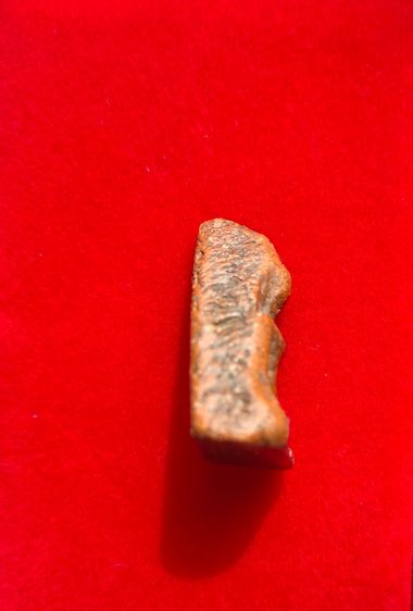 พระนางพญา รูปที่ 4