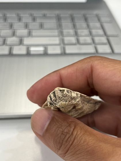 พระกรุเนื้อดินไม่ทราบที่ รูปที่ 6