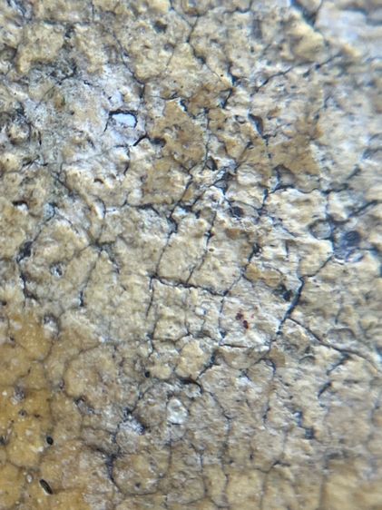 พระสมเด็จวัดระฆังพิมพ์ใหญ่เนื้อหาเก่าสวย(063) รูปที่ 16