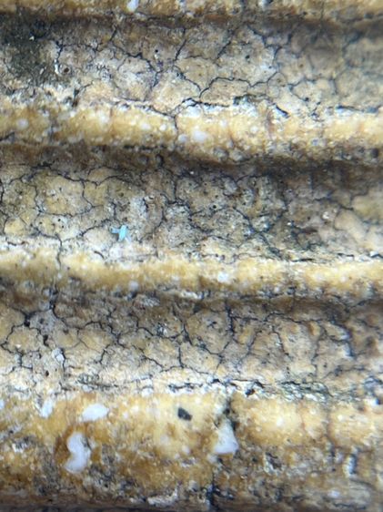 พระสมเด็จวัดระฆังพิมพ์ใหญ่เนื้อหาเก่าสวย(063) รูปที่ 10