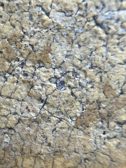 พระสมเด็จวัดระฆังพิมพ์ใหญ่เนื้อหาเก่าสวย(063) รูปที่ 17