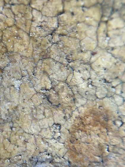 พระสมเด็จวัดระฆังพิมพ์ใหญ่เนื้อหาเก่าสวย(063) รูปที่ 14