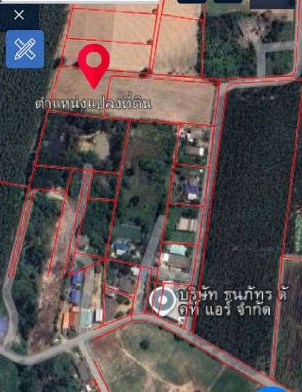ไม่ใช่ ขายที่ดินเปล่า ริมถนน ถมแล้ว นาเริก พนัสนิคม รูปที่ 4
