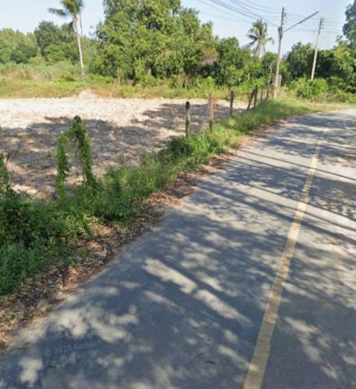 ไม่ใช่ ขายที่ดินเปล่า ริมถนน ถมแล้ว นาเริก พนัสนิคม รูปที่ 2