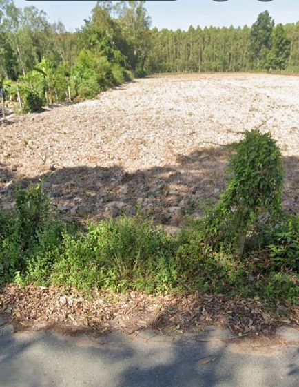 ไม่ใช่ ขายที่ดินเปล่า ริมถนน ถมแล้ว นาเริก พนัสนิคม รูปที่ 3