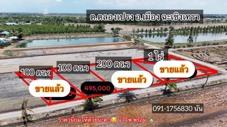 ที่ดิน คลองเปร็ง ฉะเชิงเทรา