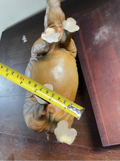 รูปปั้นแร ดทองเหลืองสะสม รูปที่ 13