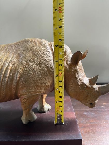 รูปปั้นแร ดทองเหลืองสะสม รูปที่ 10