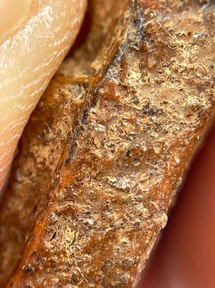 พระนางพญา พิมพ์เข่าโค้ง เนื้อดินเดิม สภาพงาม เข้มขลังพุทธคุณด้านเมตตามหานิยม ค้าขายคล่อง แคล้วคลาดดีเยี่ยม รูปที่ 14