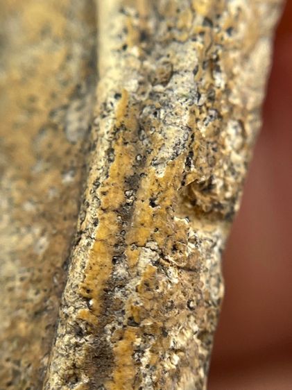 พระสมเด็จวัดระฆังพิมพ์เจดีย์เนื้อหาเก่าสวยน่าเก็บสะสม รูปที่ 12