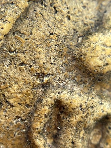 พระสมเด็จวัดระฆังพิมพ์เจดีย์เนื้อหาเก่าสวยน่าเก็บสะสม รูปที่ 7