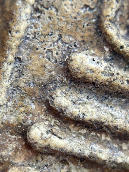 พระสมเด็จวัดระฆังพิมพ์เจดีย์เนื้อหาเก่าสวยน่าเก็บสะสม รูปที่ 10