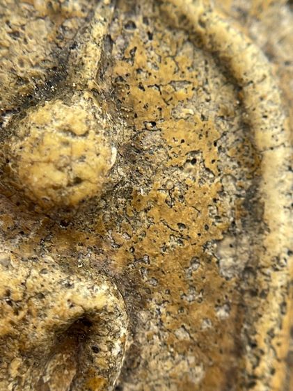 พระสมเด็จวัดระฆังพิมพ์เจดีย์เนื้อหาเก่าสวยน่าเก็บสะสม รูปที่ 8