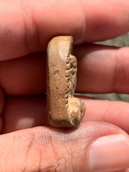 พระซุ้มกอฤาษี รูปที่ 4