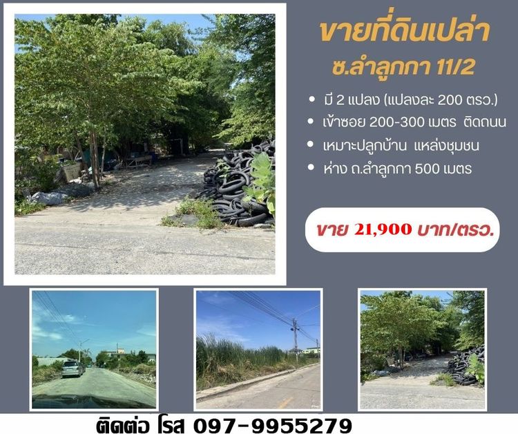ขายที่ดิน  197 ตรว ซอยลำลูกกา 11 ขายถูก ถนนเมน