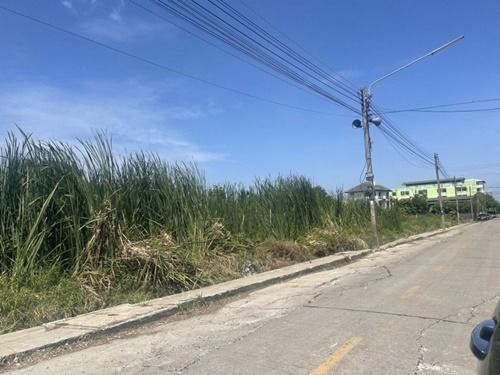 ขายที่ดิน  197 ตรว ซอยลำลูกกา 11 ขายถูก ถนนเมน รูปที่ 3