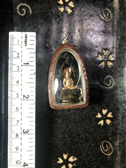 พระนาคปรก รูปที่ 3