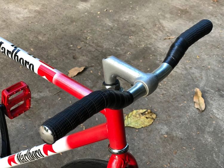 ฟิกเกียร์ รูปที่ 5