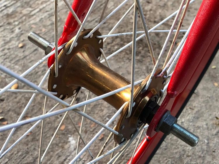 ฟิกเกียร์ รูปที่ 6