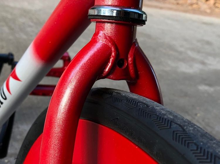 ฟิกเกียร์ รูปที่ 7