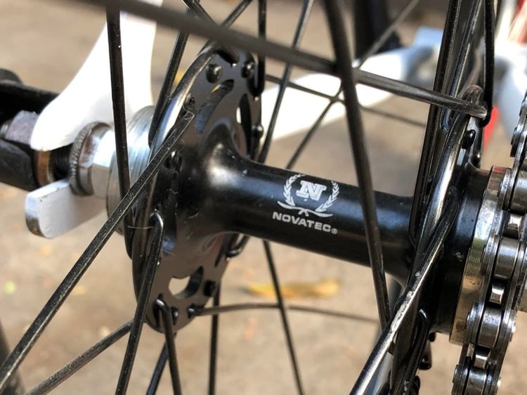 ฟิกเกียร์ รูปที่ 12