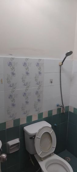 Pruksa ขายทาวน์เฮ้าส์ พร้อมอยู่ เจ้าของบ้านขายเอง 2 ห้องนอน 2 ห้องน้ำ 16 ตารางวา หมู่บ้านพฤกษา 30ทับ1 สนใจติดต่อ 092-327-4036 รับสัญญารีโนเวท รูปที่ 3