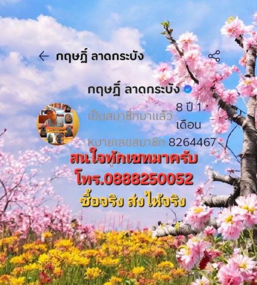 พญาเต่าเลือนหลวงพ่อหลิว วัดไร่แตงทอง รุ่นรวย รวย รวย  รูปที่ 10