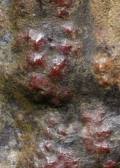 พระร่วงหลังรางปืน กรุวัดพระศรีรัตนมหาธาตุ ลพบุรี เนื้อสนิมแดงลูกหว้า เก่า รูปที่ 4