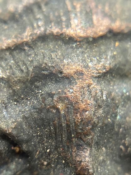 เหรียญเสือ หลัง พระพรหมสี่หน้า อาจารย์เฮง ไพรวัลย์ พิมพ์สี่เหลี่ยม (ข้าวหลามตัด) ประมาณปี2472 อาจารย์เฮง ไพรวัลย์ พระนครศรีอยุธยา (120) รูปที่ 9