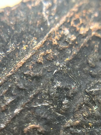 เหรียญเสือ หลัง พระพรหมสี่หน้า อาจารย์เฮง ไพรวัลย์ พิมพ์สี่เหลี่ยม (ข้าวหลามตัด) ประมาณปี2472 อาจารย์เฮง ไพรวัลย์ พระนครศรีอยุธยา (120) รูปที่ 17