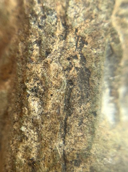 พระนางพญาต้าโตพญาสองหน้า กรุนครไทย เนื้อดินเขียว(103) รูปที่ 10