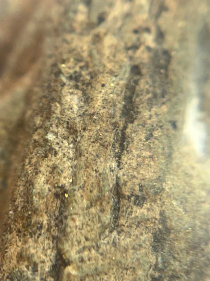 พระนางพญาต้าโตพญาสองหน้า กรุนครไทย เนื้อดินเขียว(103) รูปที่ 12