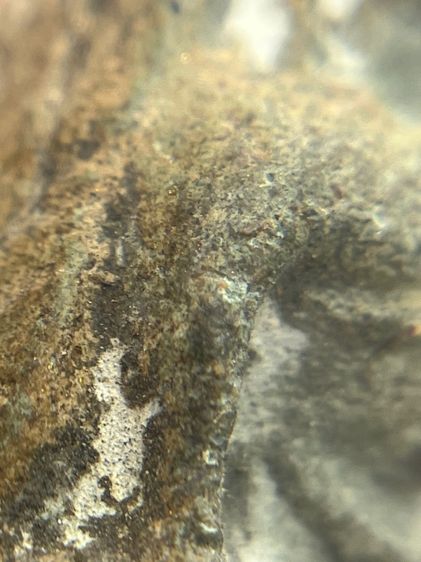 พระนางพญาต้าโตพญาสองหน้า กรุนครไทย เนื้อดินเขียว(103) รูปที่ 9