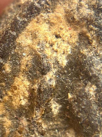 พระหลวงปู่บุญ เนื้อผงยา พิมพ์เล็บมือหูบายศรี(111) รูปที่ 12