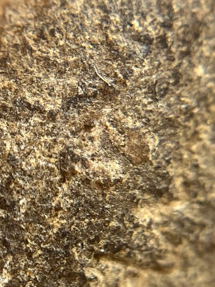 พระหลวงปู่บุญ เนื้อผงยา พิมพ์เล็บมือหูบายศรี(111) รูปที่ 15