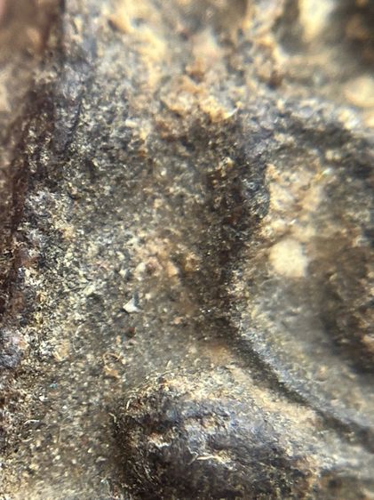 พระหลวงปู่บุญ เนื้อผงยา พิมพ์เล็บมือหูบายศรี(111) รูปที่ 10