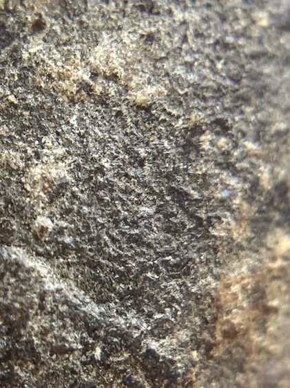 พระหลวงปู่บุญ เนื้อผงยา พิมพ์เล็บมือหูบายศรี(111) รูปที่ 17