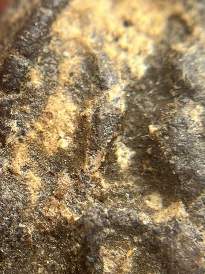 พระหลวงปู่บุญ เนื้อผงยา พิมพ์เล็บมือหูบายศรี(111) รูปที่ 11