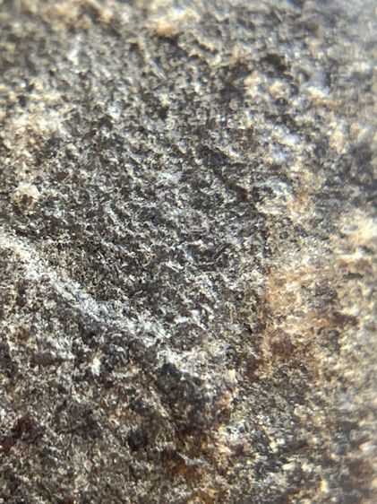 พระหลวงปู่บุญ เนื้อผงยา พิมพ์เล็บมือหูบายศรี(111) รูปที่ 16