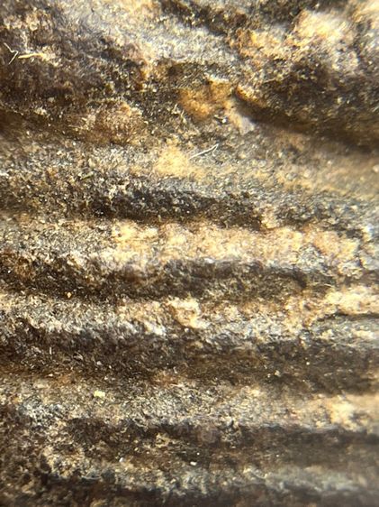 พระหลวงปู่บุญ เนื้อผงยา พิมพ์เล็บมือหูบายศรี(111) รูปที่ 9