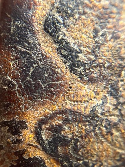 พระบาทสมเด็จ พิมพ์สมาธิในซุ้มเรือนแก้ว ของหลวงปู่บุญ ขันธโชติ วัดกลางบางแก้ว จังหวัดนครปฐม (109) รูปที่ 6