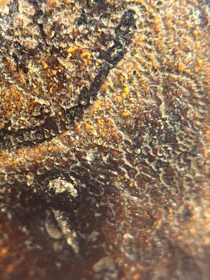 พระบาทสมเด็จ พิมพ์สมาธิในซุ้มเรือนแก้ว ของหลวงปู่บุญ ขันธโชติ วัดกลางบางแก้ว จังหวัดนครปฐม (109) รูปที่ 10