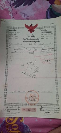 ที่ดินติดถนน 7 ไร่ ต.ทุ่งพระ จ.ชัยภูมิ ไร่อ้อย เจ้าของขายเอง