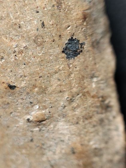 พระรอดลำพูนพิมพ์ใหญ่ครับ รูปที่ 13