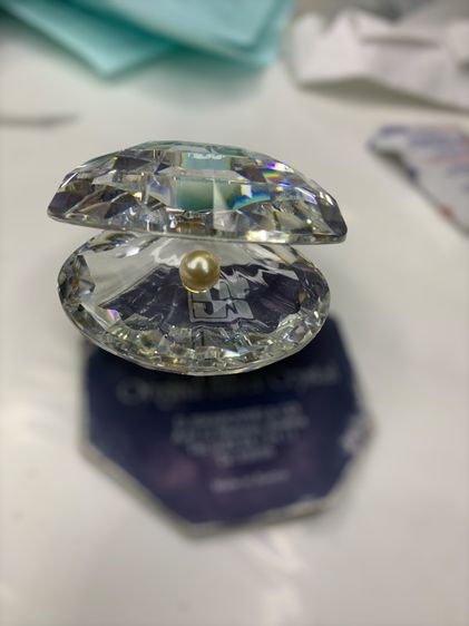 คริสตัลสวารอฟสกี้ หอยนางรมพร้อมไข่มุก