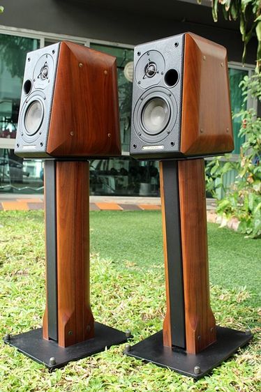 Sonus faber รูปที่ 13