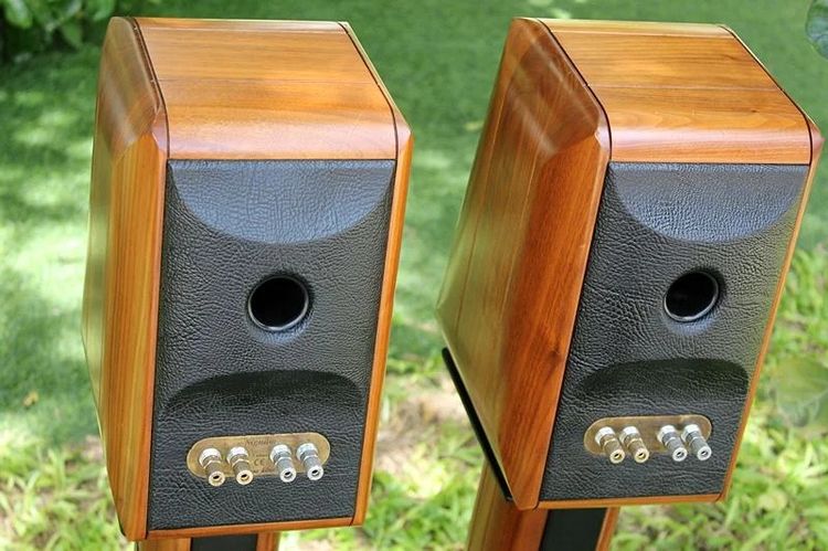 Sonus faber รูปที่ 9