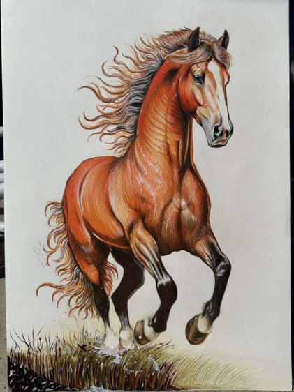 รูปวาดม้า